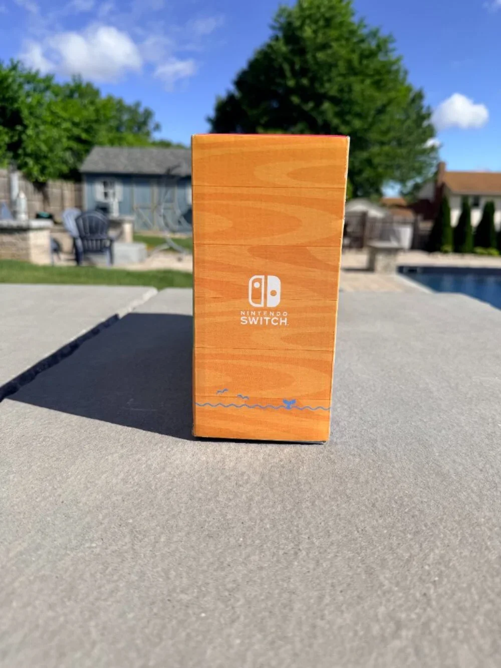 Nintendo Switch Animal Crossing: New Horizons Special Edition Console